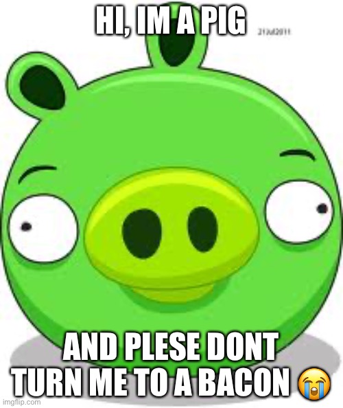 angry birds pig |  HI, IM A PIG; AND PLESE DONT TURN ME TO A BACON 😭 | image tagged in memes,angry birds pig | made w/ Imgflip meme maker