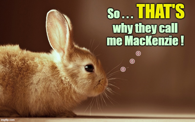 THAT'S why they call me MacKenzie ! So . . . o
         o
o | made w/ Imgflip meme maker