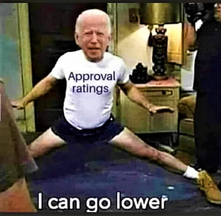 High Quality Biden approval ratings Blank Meme Template