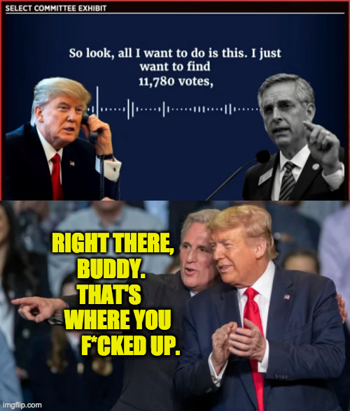 Learning to be a politician the hard way. | RIGHT THERE,
      BUDDY.
      THAT'S
   WHERE YOU
       F*CKED UP. | image tagged in memes,trump,hard lessons,politics,voter fraud,so many perfect calls | made w/ Imgflip meme maker