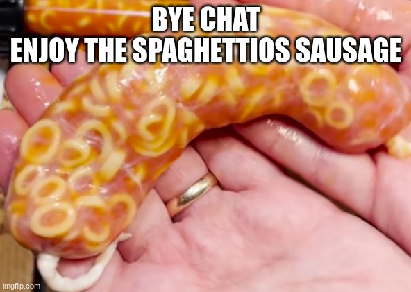 spaghettios sausage | BYE CHAT
ENJOY THE SPAGHETTIOS SAUSAGE | image tagged in spaghettios sausage | made w/ Imgflip meme maker