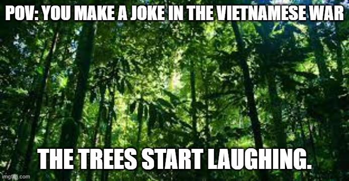 Vietnamese memes | POV: YOU MAKE A JOKE IN THE VIETNAMESE WAR; THE TREES START LAUGHING. | image tagged in memes,funny,vietnam | made w/ Imgflip meme maker