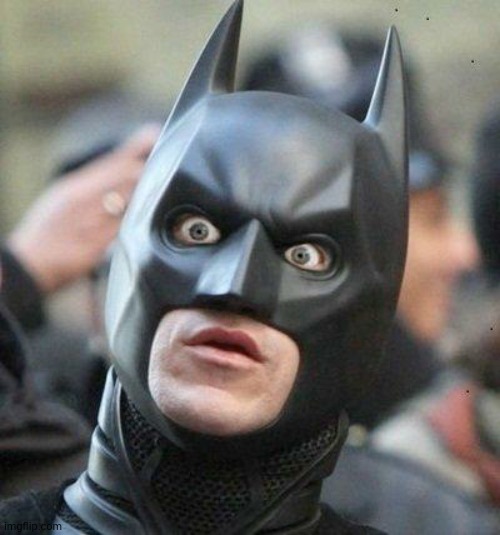 Shocked Batman | image tagged in shocked batman | made w/ Imgflip meme maker