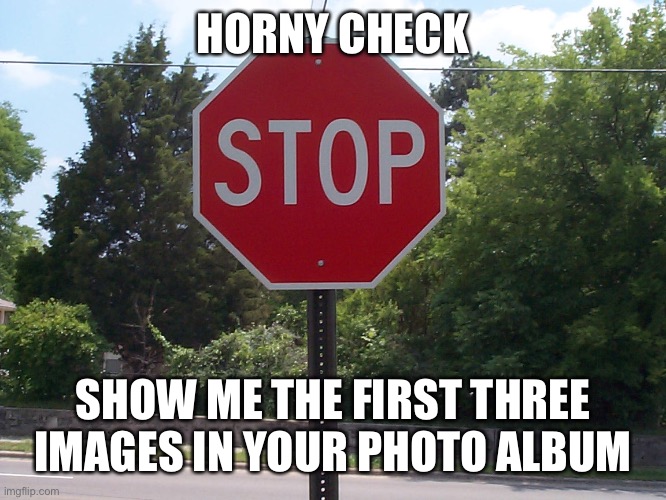 Stop sign | HORNY CHECK; SHOW ME THE FIRST THREE IMAGES IN YOUR PHOTO ALBUM | image tagged in stop sign | made w/ Imgflip meme maker