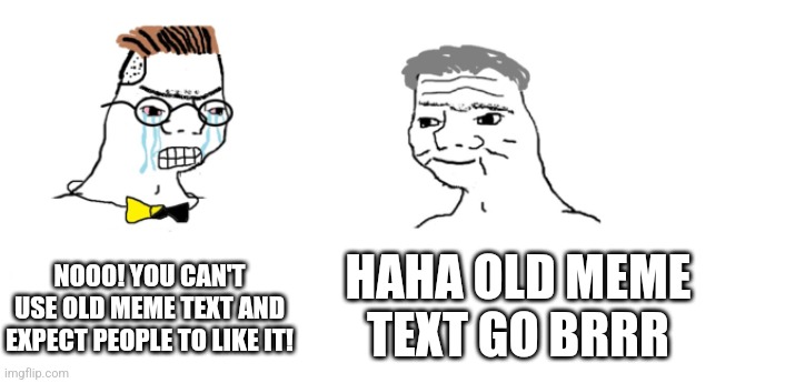 nooo haha go brrr | NOOO! YOU CAN'T USE OLD MEME TEXT AND EXPECT PEOPLE TO LIKE IT! HAHA OLD MEME TEXT GO BRRR | image tagged in nooo haha go brrr | made w/ Imgflip meme maker