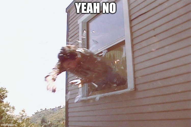 Jump Out A Window | YEAH NO | image tagged in jump out a window | made w/ Imgflip meme maker