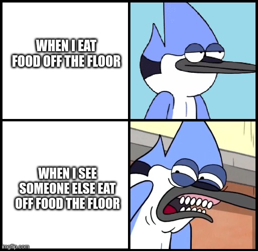 Mordecai disgusted | WHEN I EAT FOOD OFF THE FLOOR; WHEN I SEE SOMEONE ELSE EAT OFF FOOD THE FLOOR | image tagged in mordecai disgusted | made w/ Imgflip meme maker
