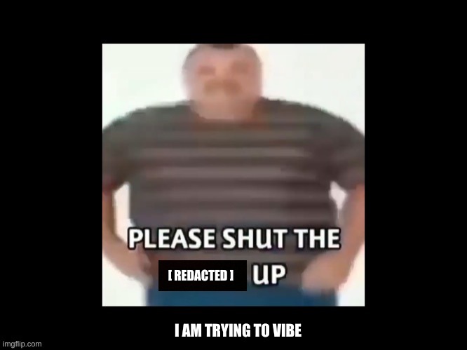 please shut up | [ REDACTED ]; I AM TRYING TO VIBE | image tagged in please shut up | made w/ Imgflip meme maker