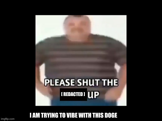 please shut up | [ REDACTED ] I AM TRYING TO VIBE WITH THIS DOGE | image tagged in please shut up | made w/ Imgflip meme maker