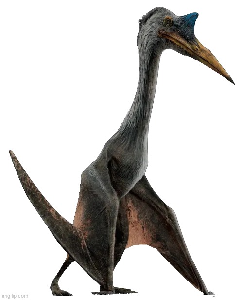 Quetzalcoatlus 2 (JWD Design) | image tagged in quetzalcoatlus | made w/ Imgflip meme maker