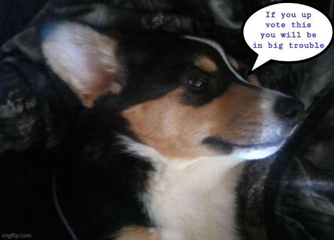 Don't do it | If you up vote this you will be in big trouble | image tagged in wally speech bubble | made w/ Imgflip meme maker