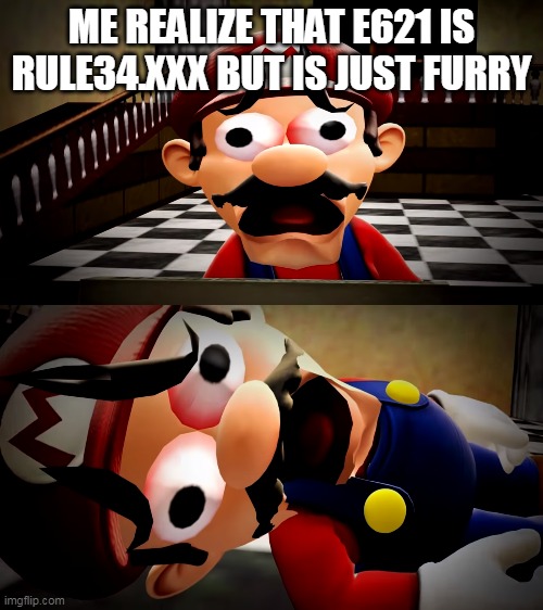 Mario dies | ME REALIZE THAT E621 IS RULE34.XXX BUT IS JUST FURRY | image tagged in mario dies | made w/ Imgflip meme maker