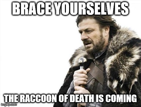 Brace Yourselves X is Coming Meme | BRACE YOURSELVES THE RACCOON OF DEATH IS COMING | image tagged in memes,brace yourselves x is coming | made w/ Imgflip meme maker