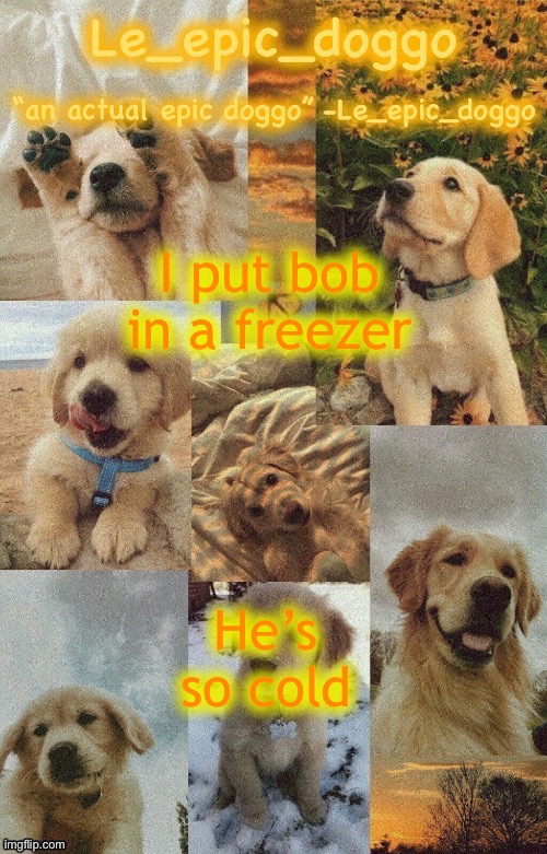 Doggo temp by doggo. Wait what that’s confusing | I put bob in a freezer; He’s so cold | image tagged in doggo temp by doggo wait what that s confusing | made w/ Imgflip meme maker