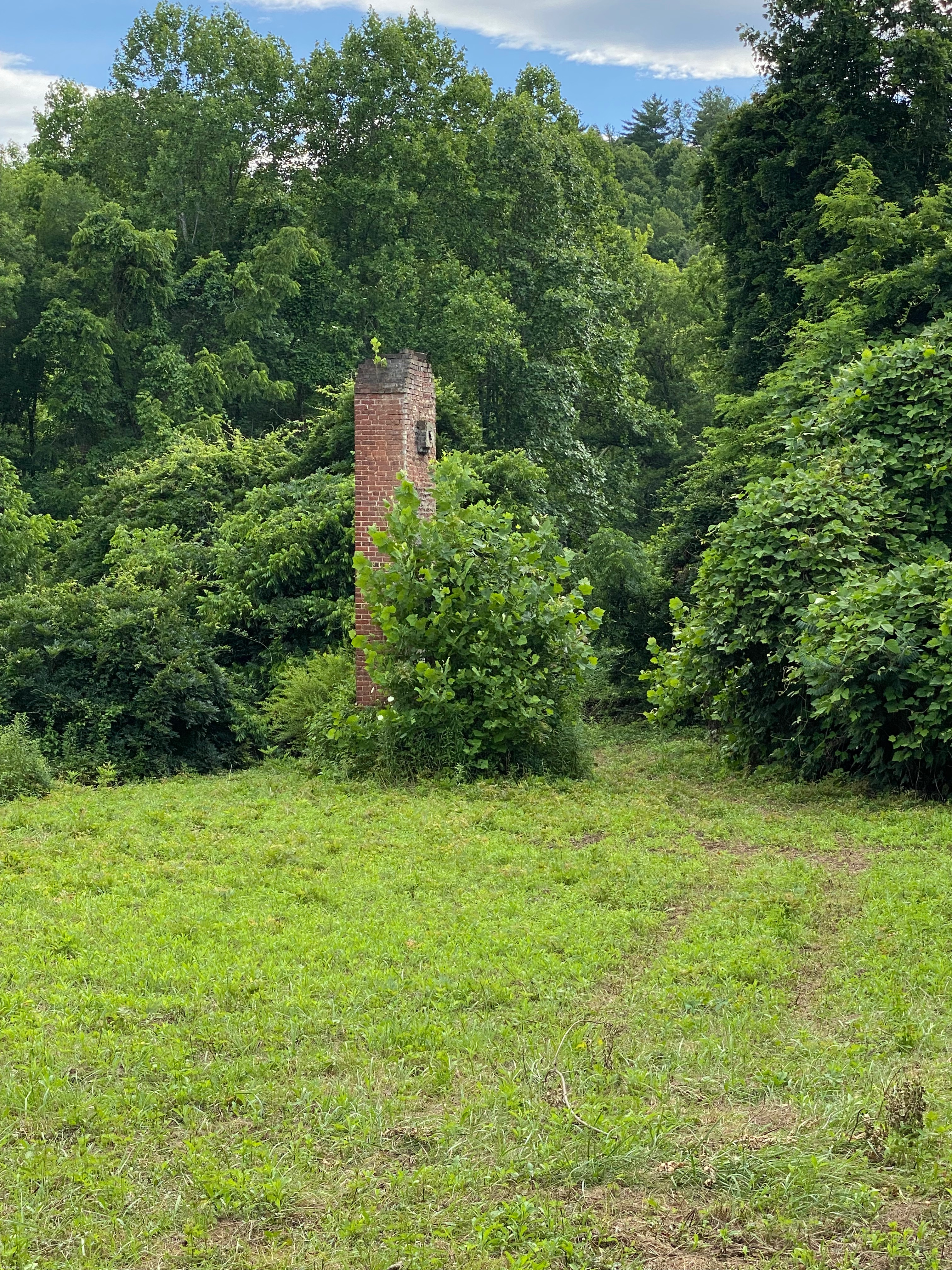 Chimney(?) in a field, Marion NC 6/20/22 | made w/ Imgflip meme maker