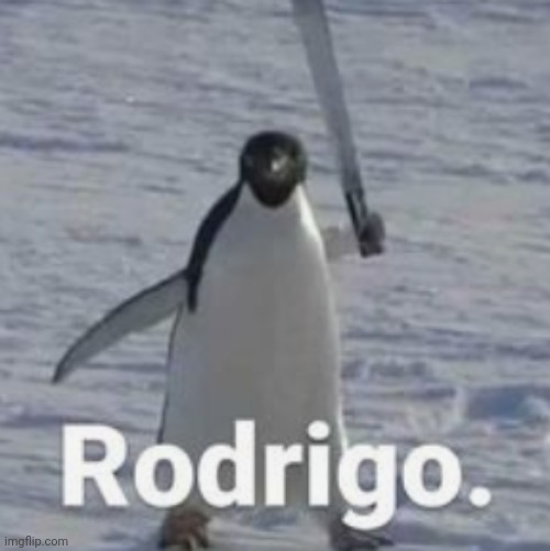 Rodrigo. | made w/ Imgflip meme maker