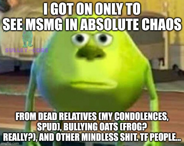 Monsters Inc | I GOT ON ONLY TO SEE MSMG IN ABSOLUTE CHAOS; FROM DEAD RELATIVES (MY CONDOLENCES, SPUD), BULLYING OATS (FROG? REALLY?), AND OTHER MINDLESS SHIT. TF PEOPLE... | image tagged in monsters inc | made w/ Imgflip meme maker