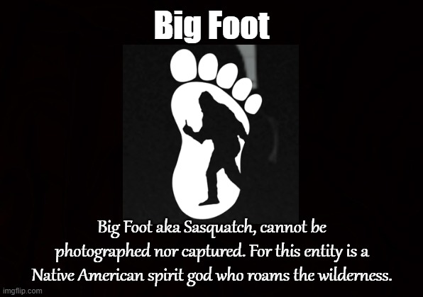 Sasquatch | Big Foot; Big Foot aka Sasquatch, cannot be photographed nor captured. For this entity is a Native American spirit god who roams the wilderness. | image tagged in big foot,sasquatch,yeti,abominable,snowman,grassman | made w/ Imgflip meme maker