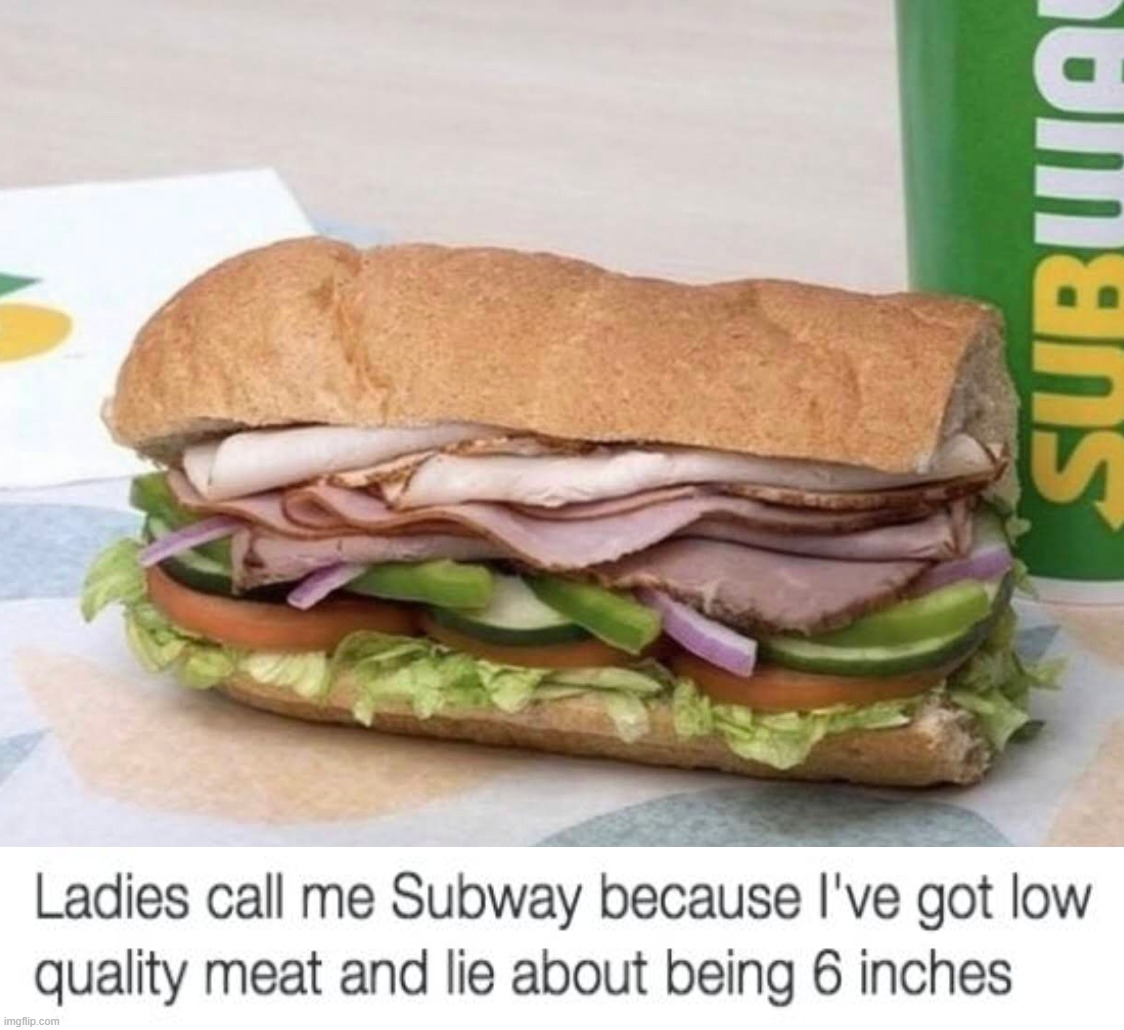 Subway sandwich | image tagged in subway sandwich,insult,ooh self-burn those are rare | made w/ Imgflip meme maker