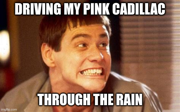 it was dark out and there was a body in the trunk | DRIVING MY PINK CADILLAC; THROUGH THE RAIN | image tagged in jim,roamnce,for,psychos | made w/ Imgflip meme maker
