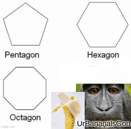 monky | UrBananalsGon | image tagged in memes,pentagon hexagon octagon | made w/ Imgflip meme maker