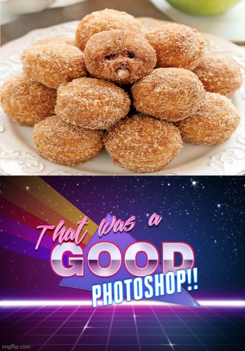 Dog cinnamon donuts photoshop | image tagged in that's a good photoshop,donuts,donut,dogs,dog,memes | made w/ Imgflip meme maker