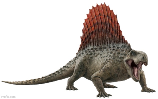 Used in comment | image tagged in dimetrodon jwd design | made w/ Imgflip meme maker