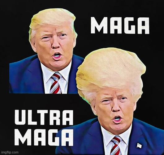 ULTRA MAGA | image tagged in trump,maga,donald trumph hair,big hair,trump hair,tall hair dude | made w/ Imgflip meme maker