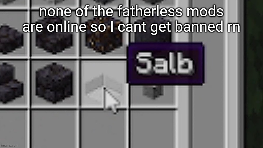 Salb | none of the fatherless mods are online so I cant get banned rn | image tagged in salb | made w/ Imgflip meme maker