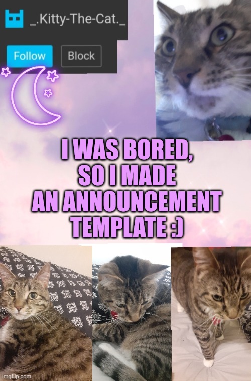 :p | I WAS BORED, SO I MADE AN ANNOUNCEMENT TEMPLATE :) | image tagged in kitty's announcement template | made w/ Imgflip meme maker