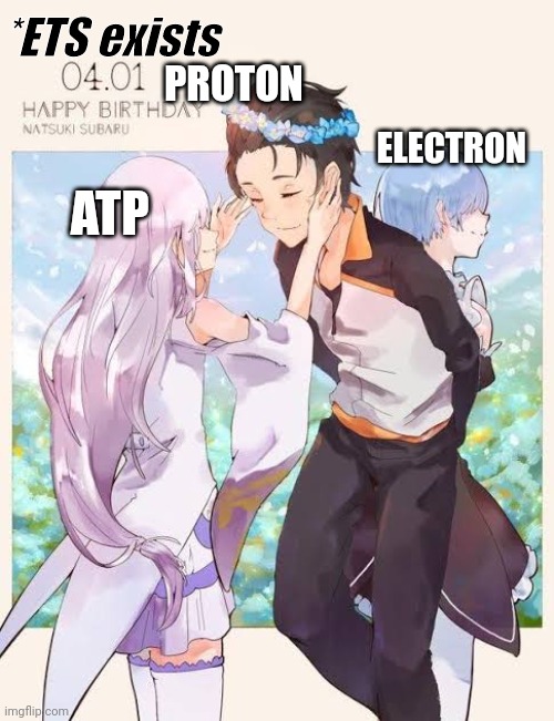 *ETS exists; PROTON; ELECTRON; ATP | made w/ Imgflip meme maker