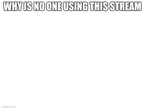 Blank White Template | WHY IS NO ONE USING THIS STREAM | image tagged in blank white template | made w/ Imgflip meme maker