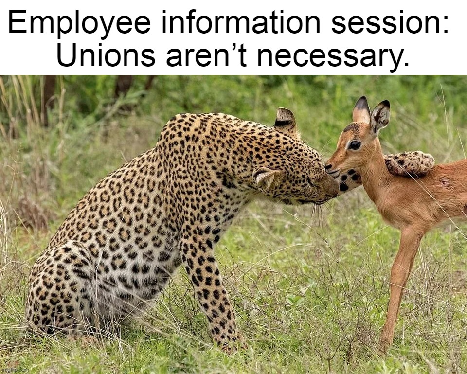 Employee information session: 
Unions aren’t necessary. | image tagged in meme,memes,humor | made w/ Imgflip meme maker