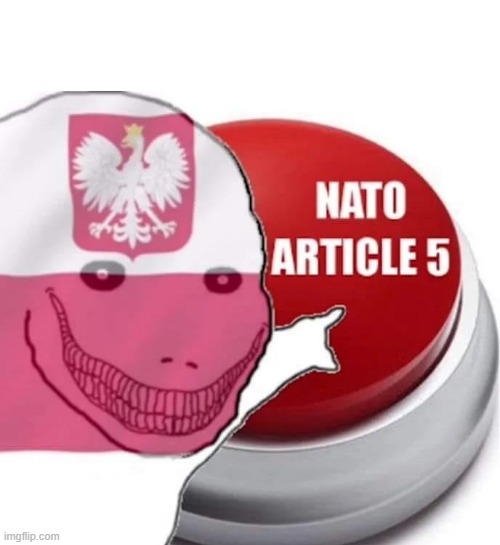 image tagged in nato article 5 | made w/ Imgflip meme maker