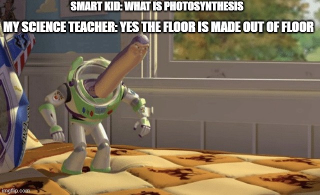 is it just me or is your teacher like this too? | SMART KID: WHAT IS PHOTOSYNTHESIS; MY SCIENCE TEACHER: YES THE FLOOR IS MADE OUT OF FLOOR | image tagged in hmm yes | made w/ Imgflip meme maker
