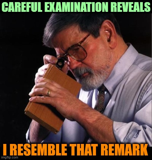 CAREFUL EXAMINATION REVEALS I RESEMBLE THAT REMARK | made w/ Imgflip meme maker