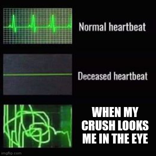 Yep | WHEN MY CRUSH LOOKS ME IN THE EYE | image tagged in heartbeat rate | made w/ Imgflip meme maker