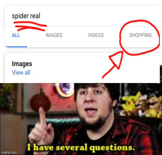 whaaaaaaaaaaaaat???? | image tagged in spider,i have several questions | made w/ Imgflip meme maker