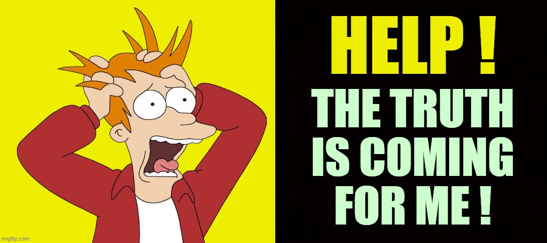 HELP ! THE TRUTH IS COMING FOR ME ! | image tagged in fry panic,wide black blank meme template | made w/ Imgflip meme maker