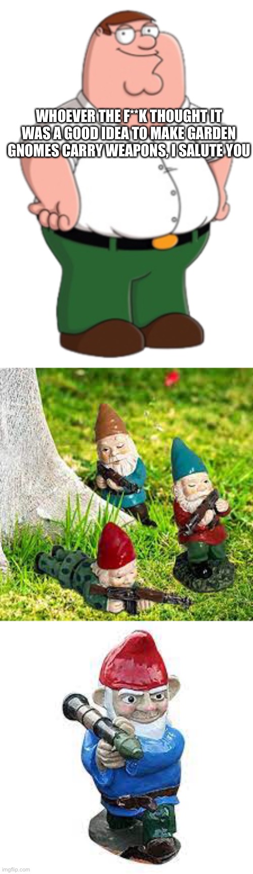 Gnomeo and juliet - The Armageddon | WHOEVER THE F**K THOUGHT IT WAS A GOOD IDEA TO MAKE GARDEN GNOMES CARRY WEAPONS, I SALUTE YOU | image tagged in peter griffin | made w/ Imgflip meme maker