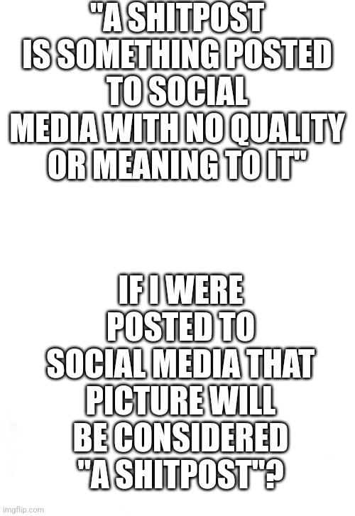 "A SHITPOST IS SOMETHING POSTED TO SOCIAL MEDIA WITH NO QUALITY OR MEANING TO IT"; IF I WERE POSTED TO SOCIAL MEDIA THAT PICTURE WILL BE CONSIDERED "A SHITPOST"? | made w/ Imgflip meme maker