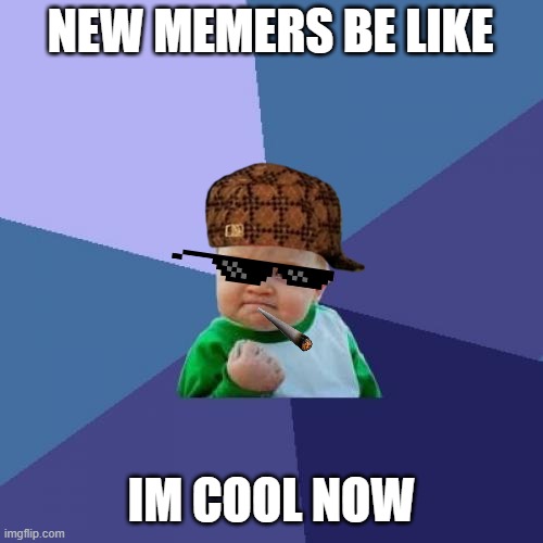 but really | NEW MEMERS BE LIKE; IM COOL NOW | image tagged in memes,success kid | made w/ Imgflip meme maker