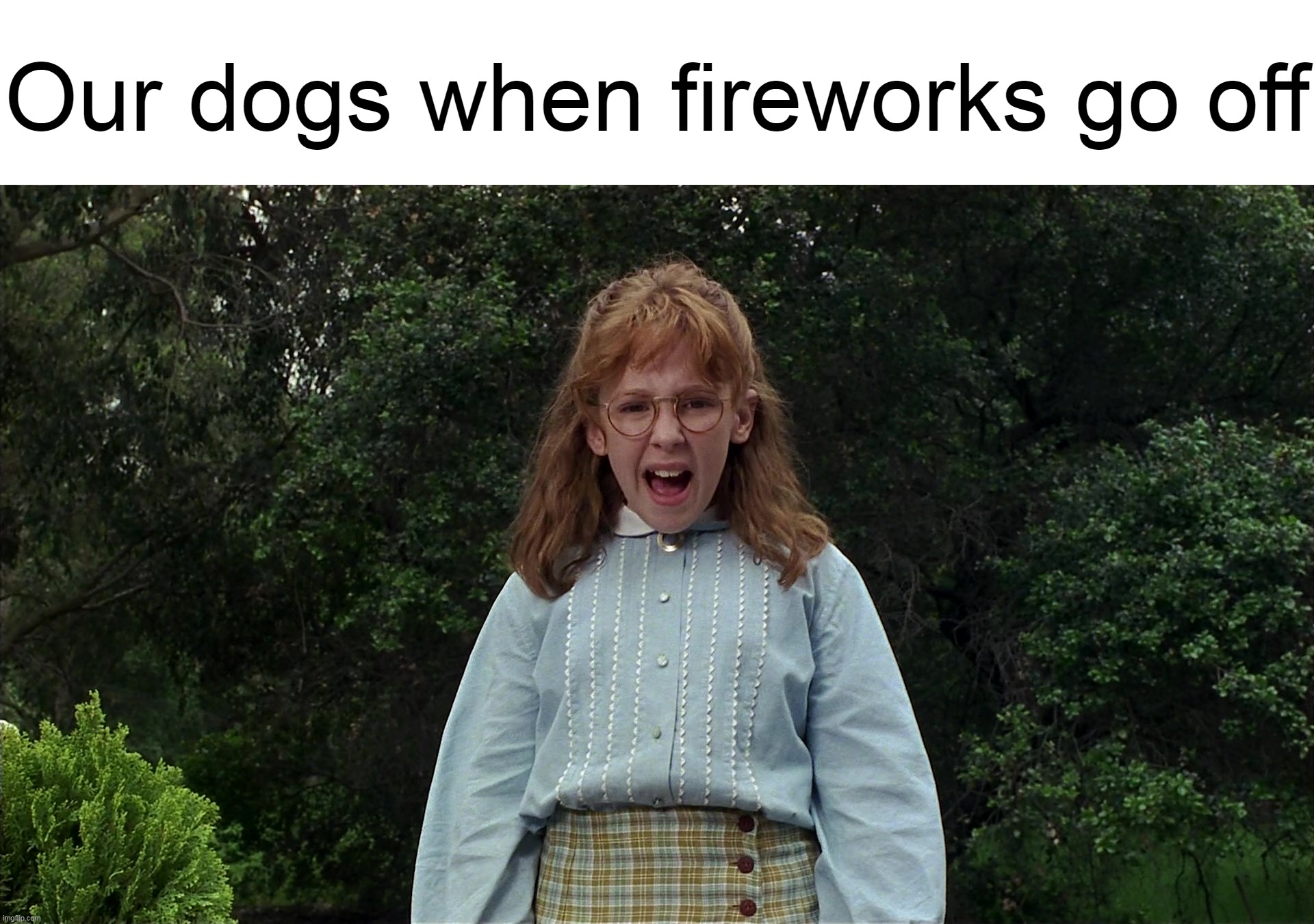Our dogs when fireworks go off | image tagged in meme,memes,humor,dogs,relatable,fireworks | made w/ Imgflip meme maker