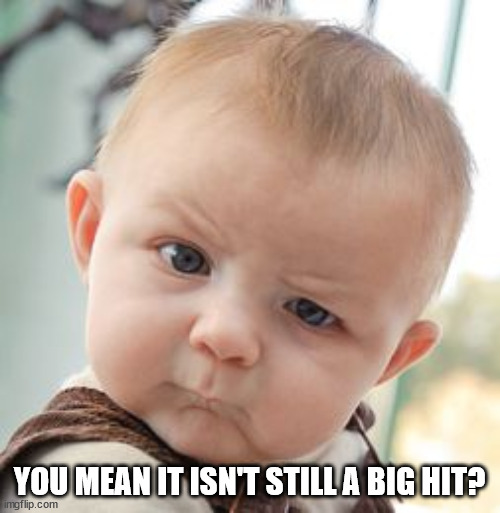 Skeptical Baby Meme | YOU MEAN IT ISN'T STILL A BIG HIT? | image tagged in memes,skeptical baby | made w/ Imgflip meme maker