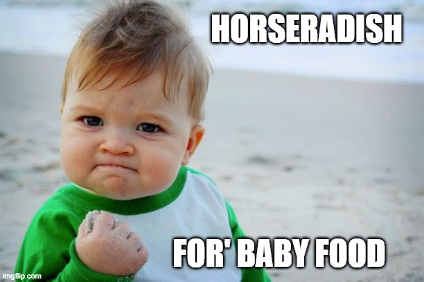 Success Kid Original Meme | HORSERADISH FOR' BABY FOOD | image tagged in memes,success kid original | made w/ Imgflip meme maker