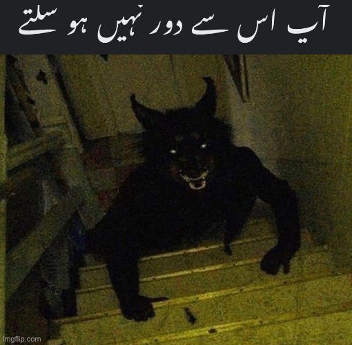 image tagged in memes | made w/ Imgflip meme maker