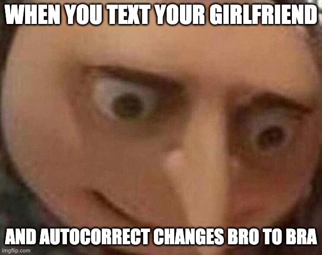 gru meme | WHEN YOU TEXT YOUR GIRLFRIEND; AND AUTOCORRECT CHANGES BRO TO BRA | image tagged in gru meme,uh oh gru,sus,girlfriend,memes,funny | made w/ Imgflip meme maker