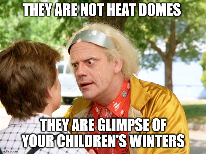 children's future |  THEY ARE NOT HEAT DOMES; THEY ARE GLIMPSE OF YOUR CHILDREN'S WINTERS | image tagged in future,fun,funny,children,heat,summer | made w/ Imgflip meme maker