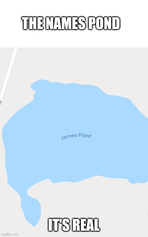 I found James Pond | IT'S REAL | image tagged in google maps,james bond | made w/ Imgflip meme maker