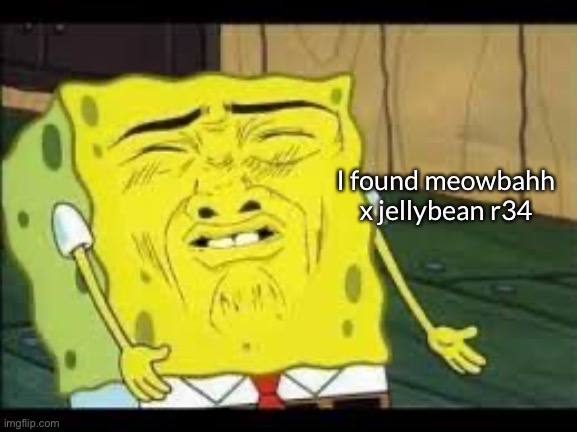 Disgusted Spongebob | I found meowbahh x jellybean r34 | image tagged in disgusted spongebob | made w/ Imgflip meme maker